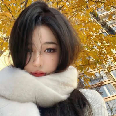 圣特鲁佩斯的警察国语